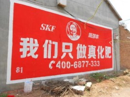 洪雅刷墙广告”蕴含了时代命题