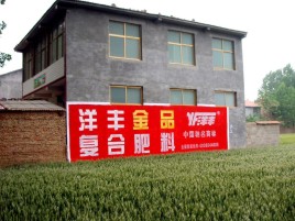 洪雅如何让墙体广告展现最大化效果