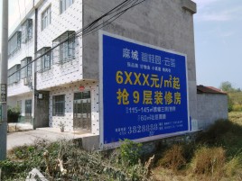 洪雅墙体广告质量分析