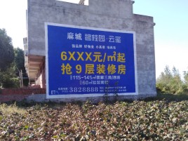 洪雅品牌公司青睐的墙体广告