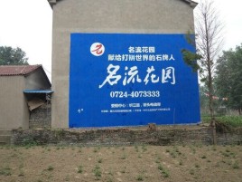 洪雅农村墙体广告的长尾效应