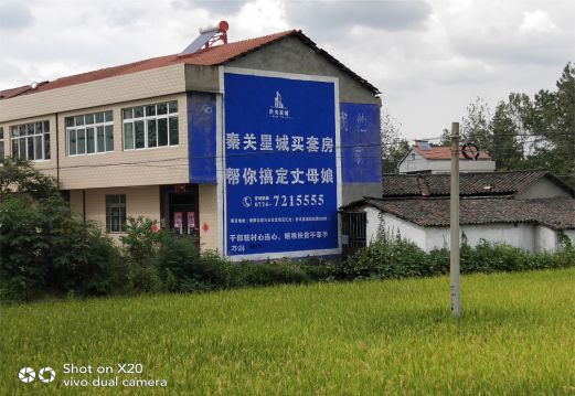洪雅决定墙体广告价格的因素有哪些？