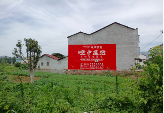 洪雅做墙体广告的意义