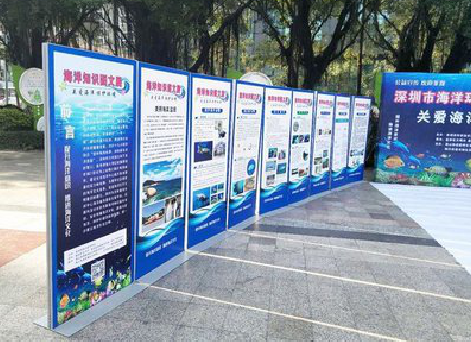 洪雅KT板的种类和知识。